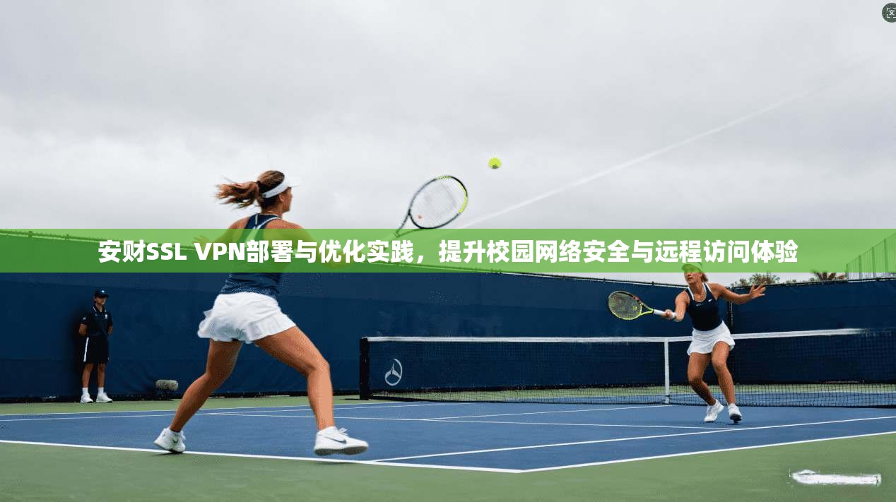 安财SSL VPN部署与优化实践,提升校园网络安全与远程访问体验
