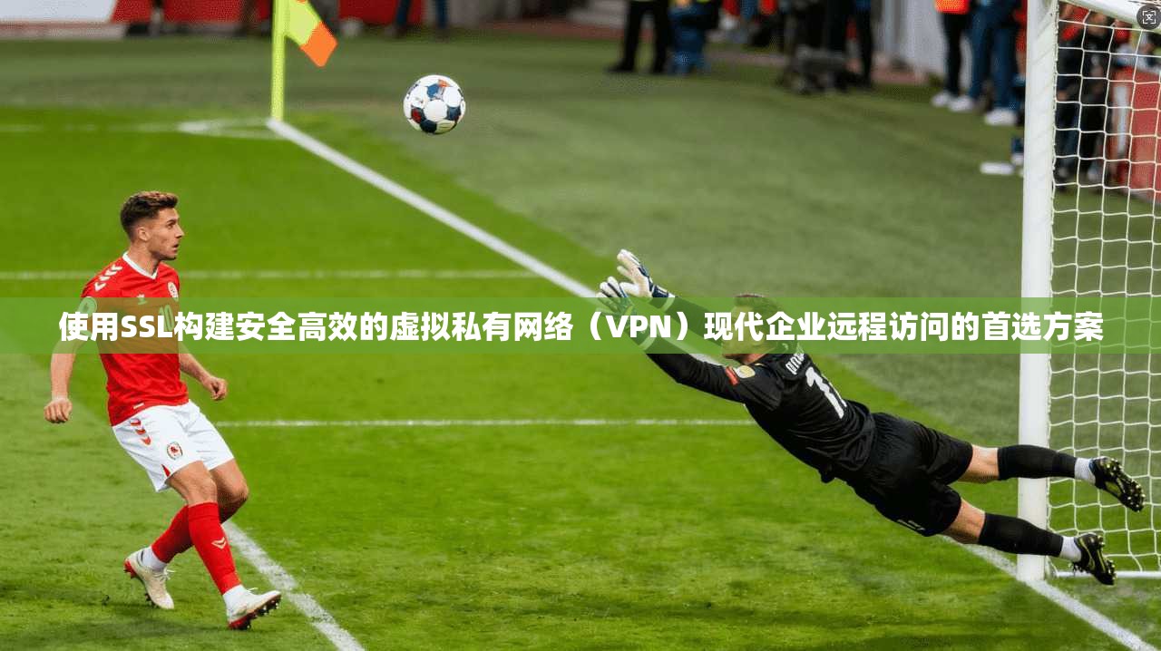 使用SSL构建安全高效的虚拟私有网络（VPN）现代企业远程访问的首选方案