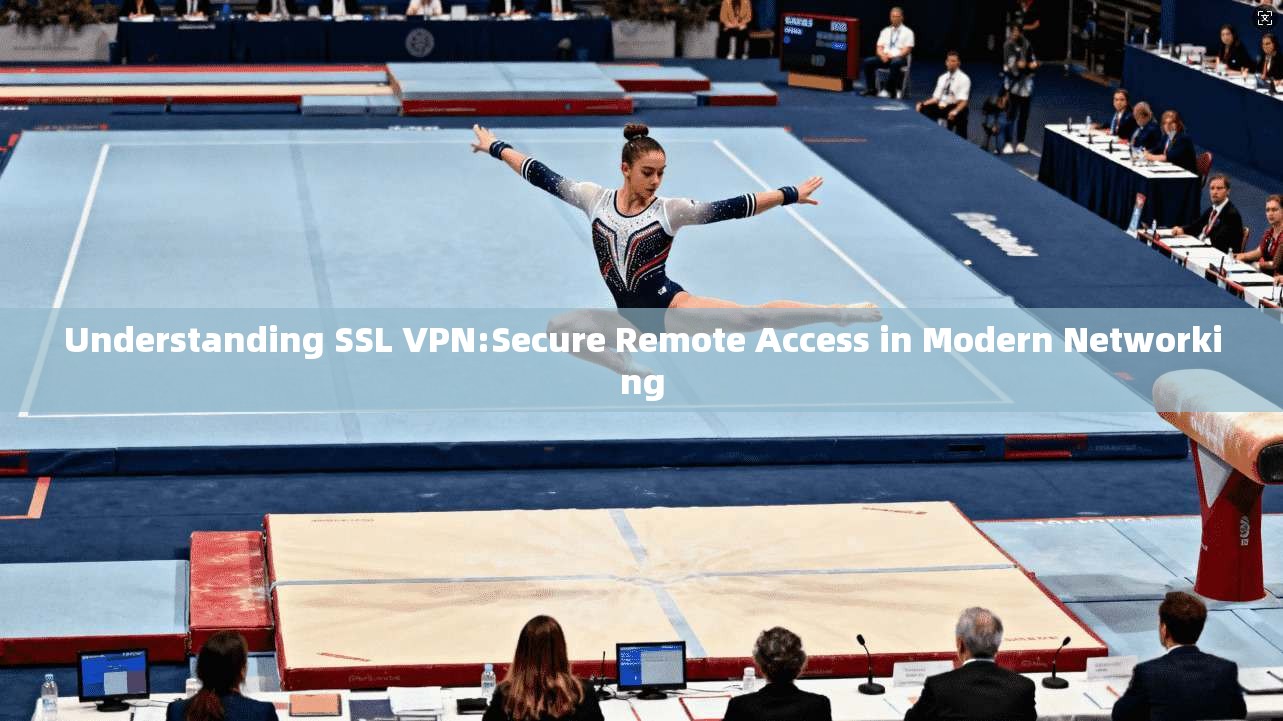 Understanding SSL VPN:Secure Remote Access in Modern Networking