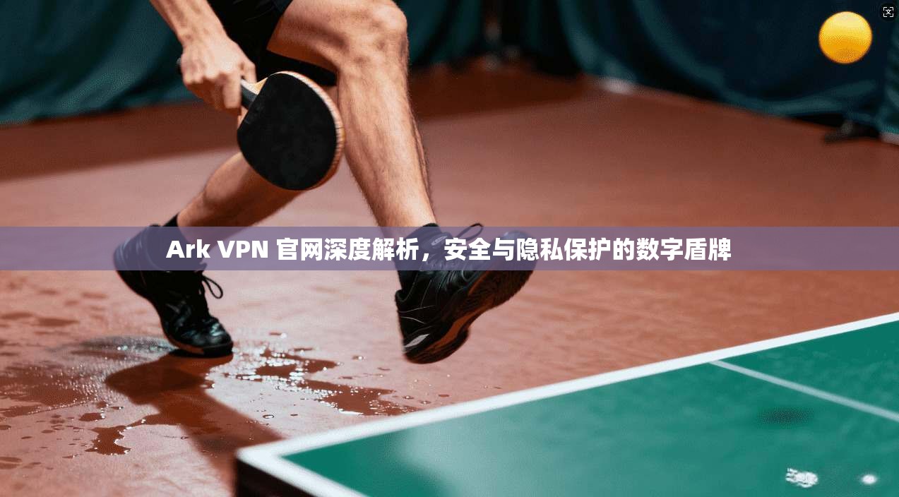 Ark VPN 官网深度解析，安全与隐私保护的数字盾牌