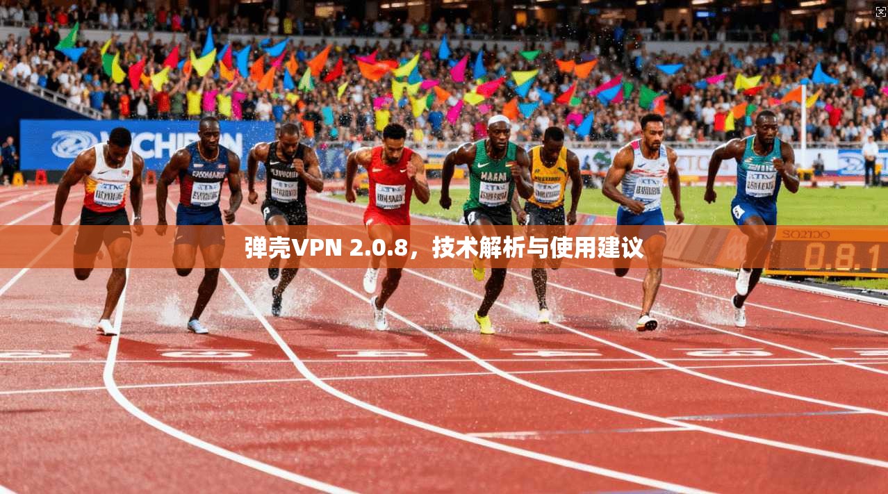 弹壳VPN 2.0.8,技术解析与使用建议