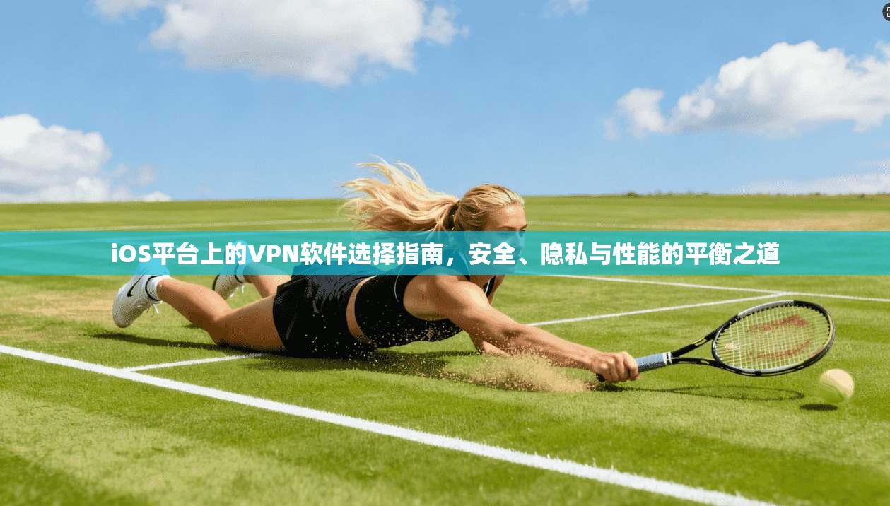 iOS平台上的VPN软件选择指南，安全、隐私与性能的平衡之道