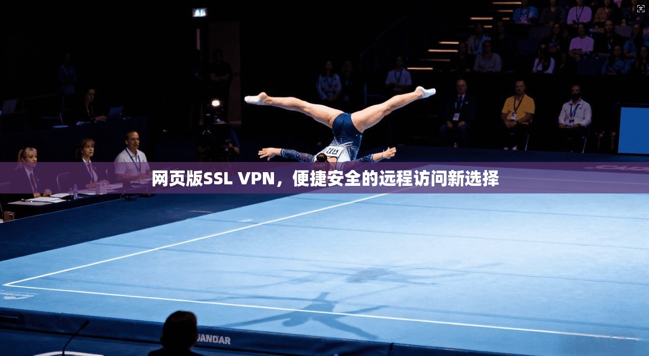 网页版SSL VPN,便捷安全的远程访问新选择