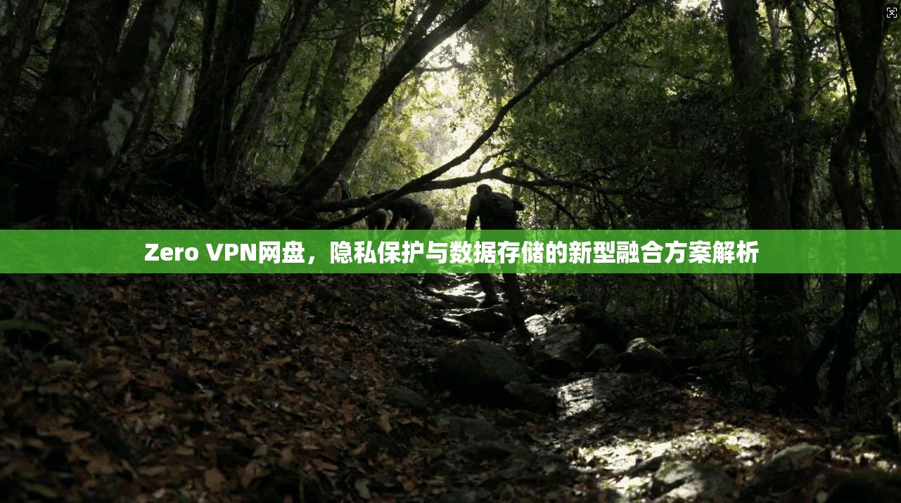 Zero VPN网盘,隐私保护与数据存储的新型融合方案解析