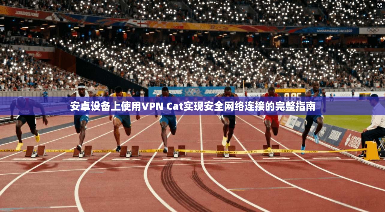 安卓设备上使用VPN Cat实现安全网络连接的完整指南