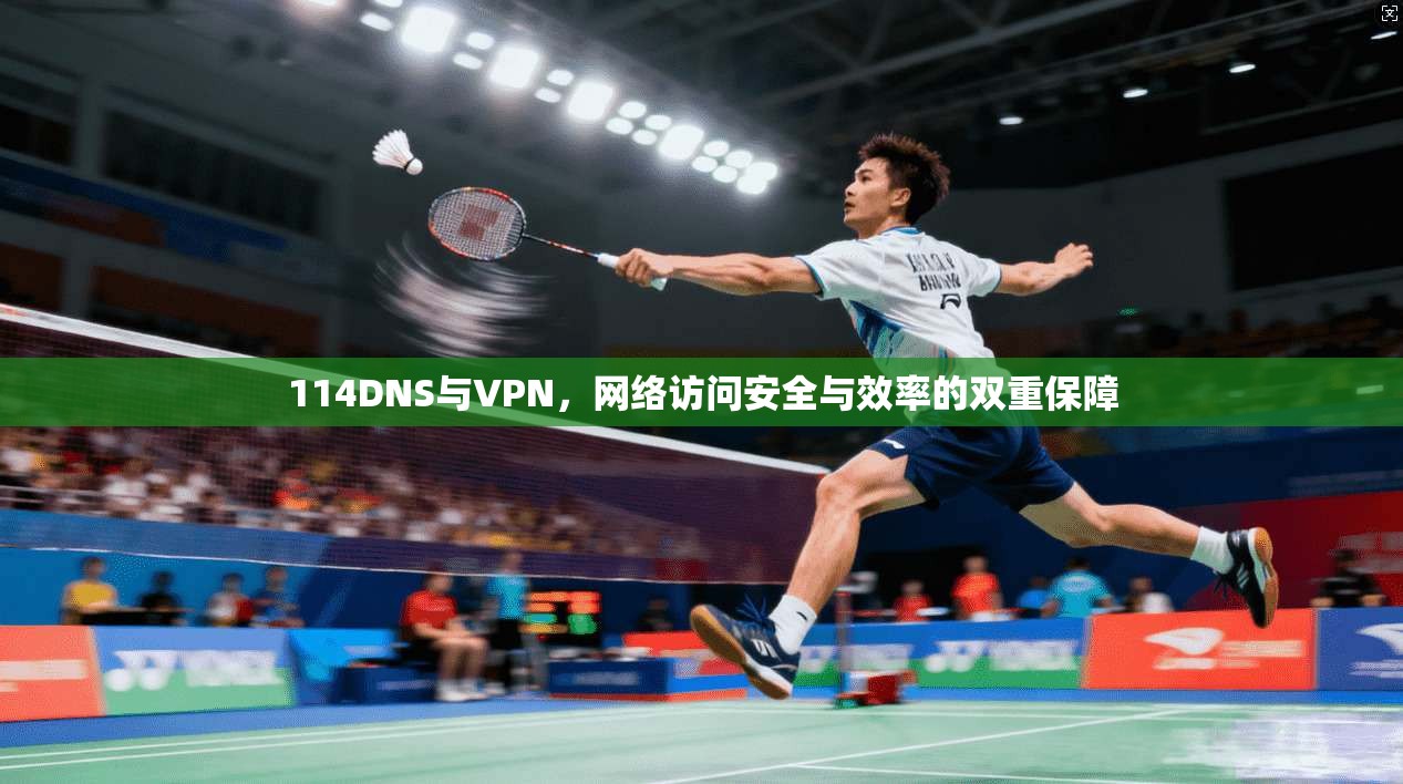 114DNS与VPN，网络访问安全与效率的双重保障