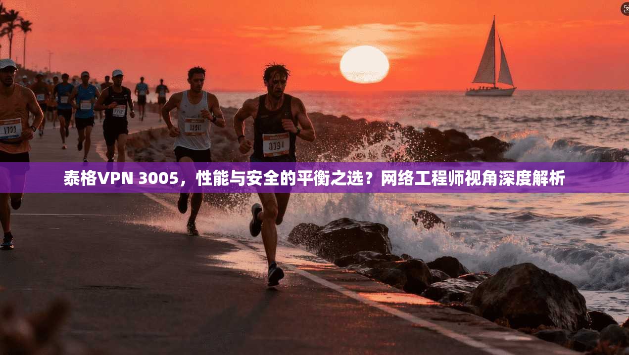 泰格VPN 3005,性能与安全的平衡之选?网络工程师视角深度解析