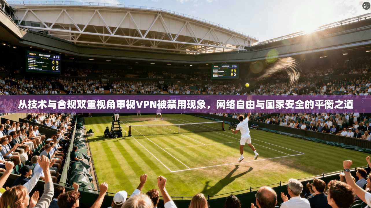 从技术与合规双重视角审视VPN被禁用现象,网络自由与国家安全的平衡之道
