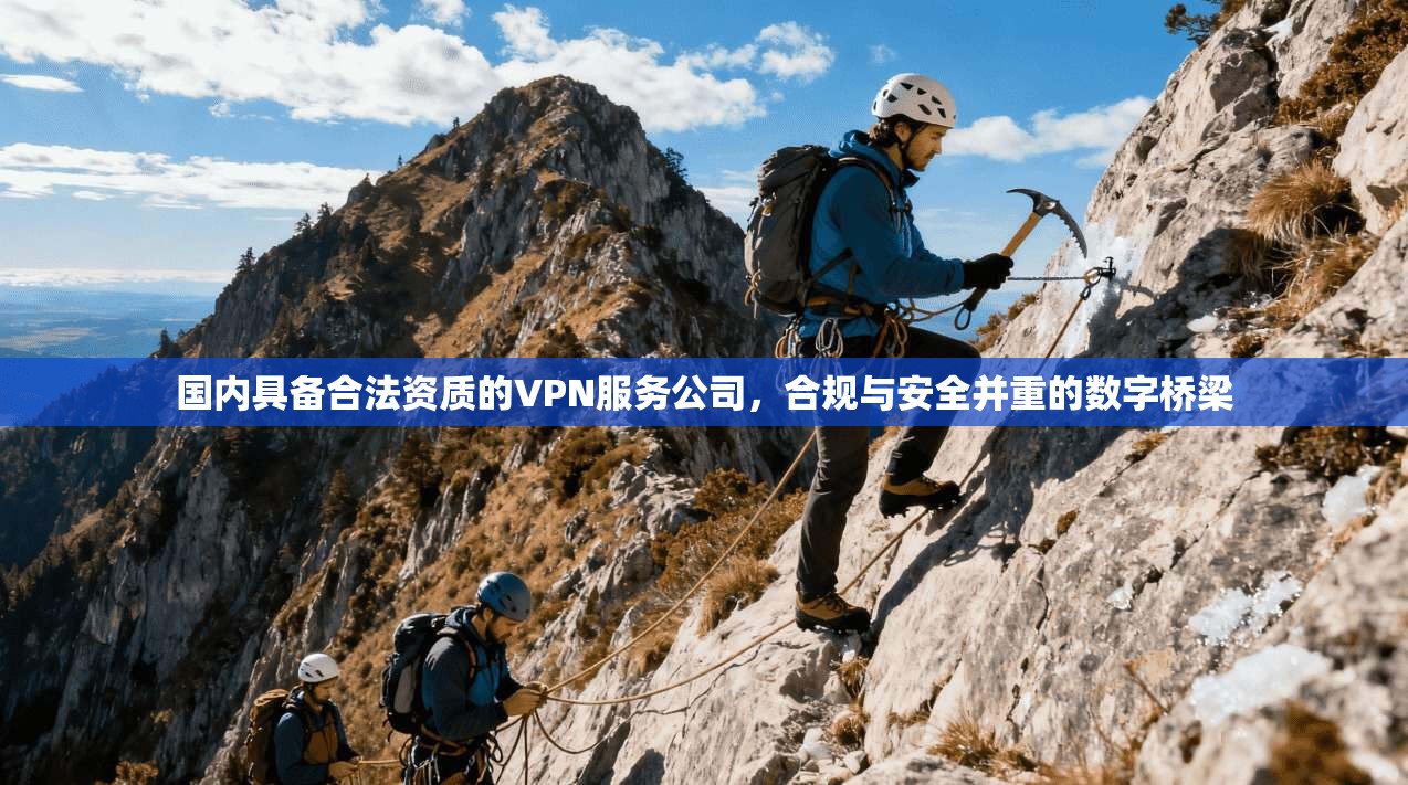 国内具备合法资质的VPN服务公司，合规与安全并重的数字桥梁