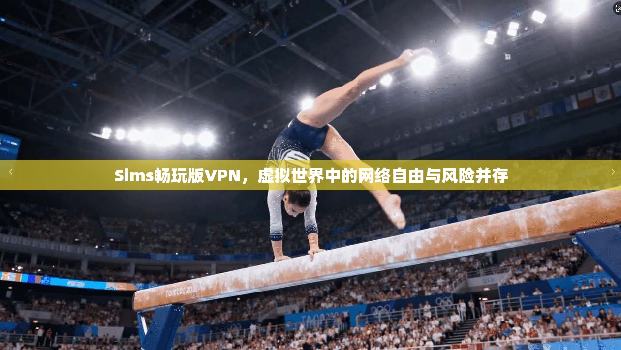 Sims畅玩版VPN，虚拟世界中的网络自由与风险并存