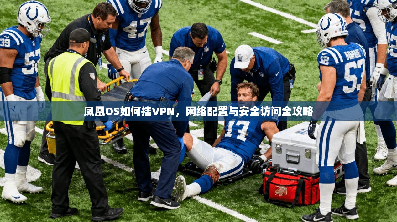 凤凰OS如何挂VPN,网络配置与安全访问全攻略