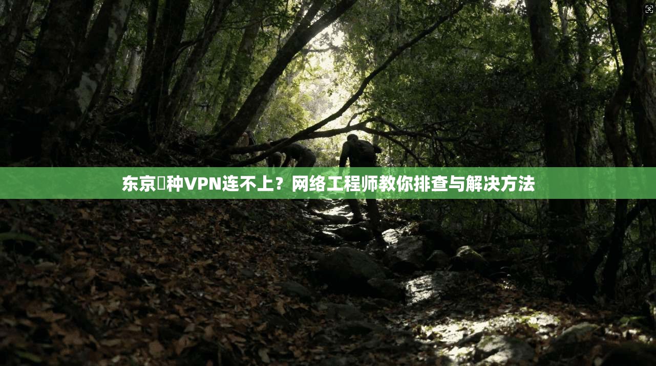 东京喰种VPN连不上？网络工程师教你排查与解决方法