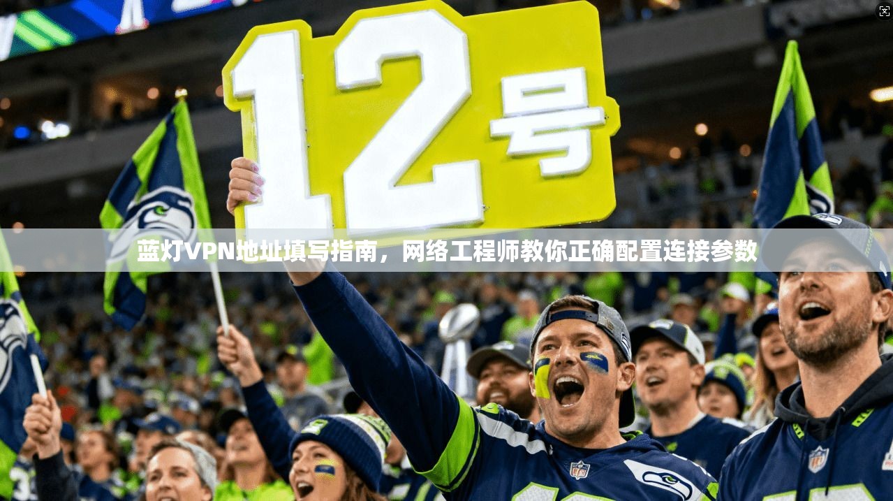 蓝灯VPN地址填写指南,网络工程师教你正确配置连接参数