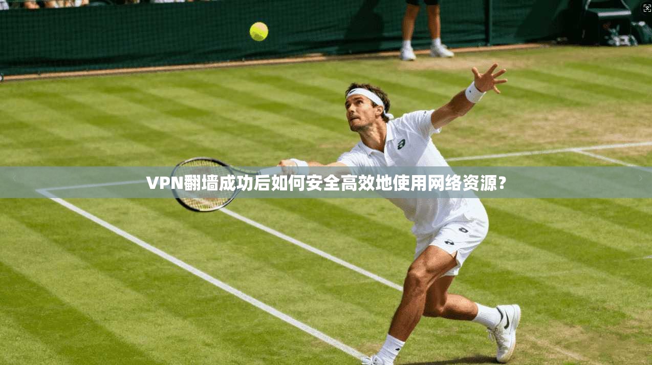 VPN翻墙成功后如何安全高效地使用网络资源?