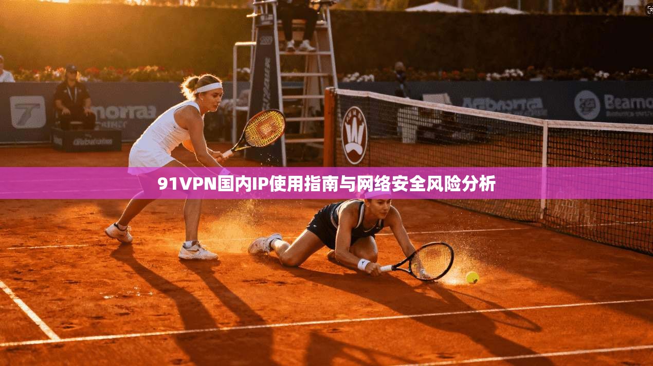 91VPN国内IP使用指南与网络安全风险分析