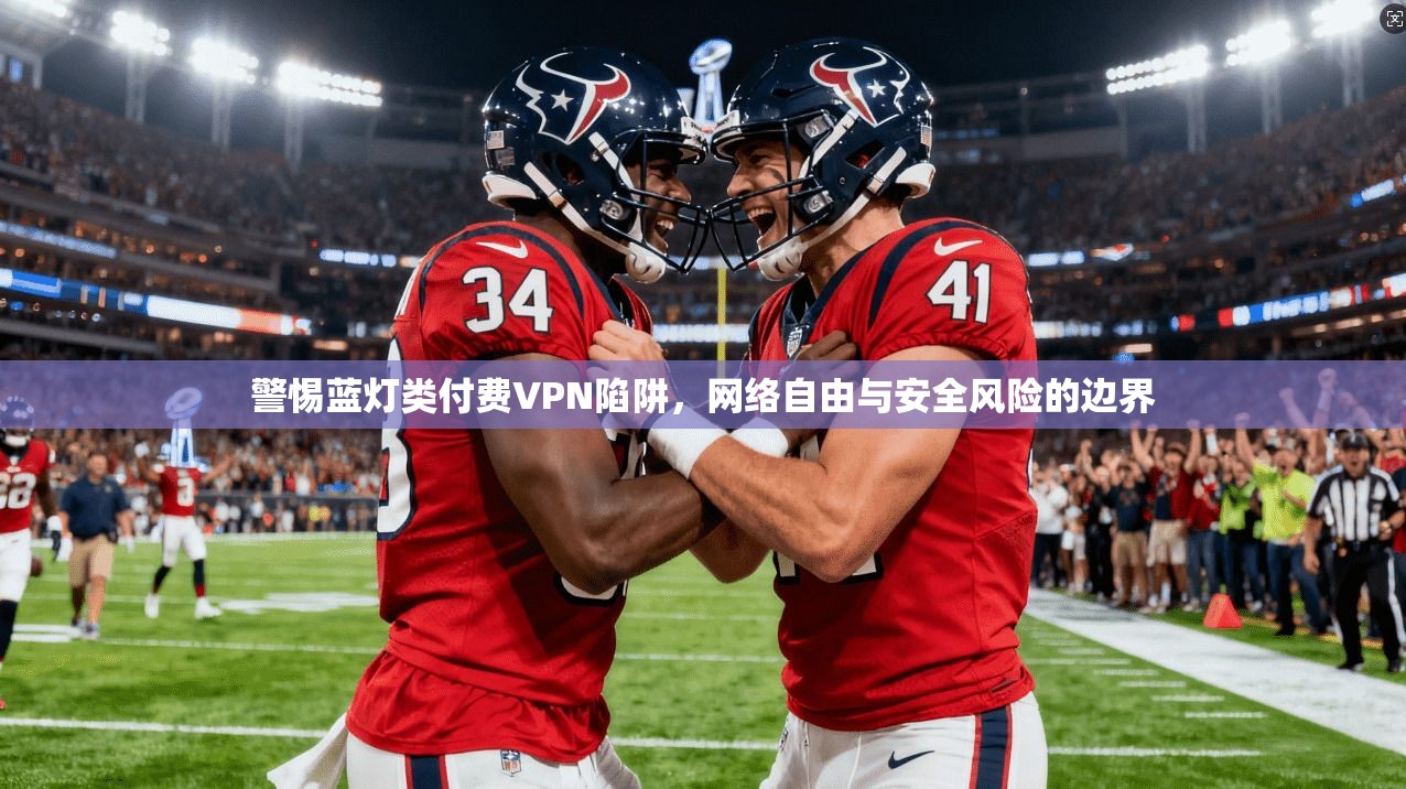 警惕蓝灯类付费VPN陷阱，网络自由与安全风险的边界