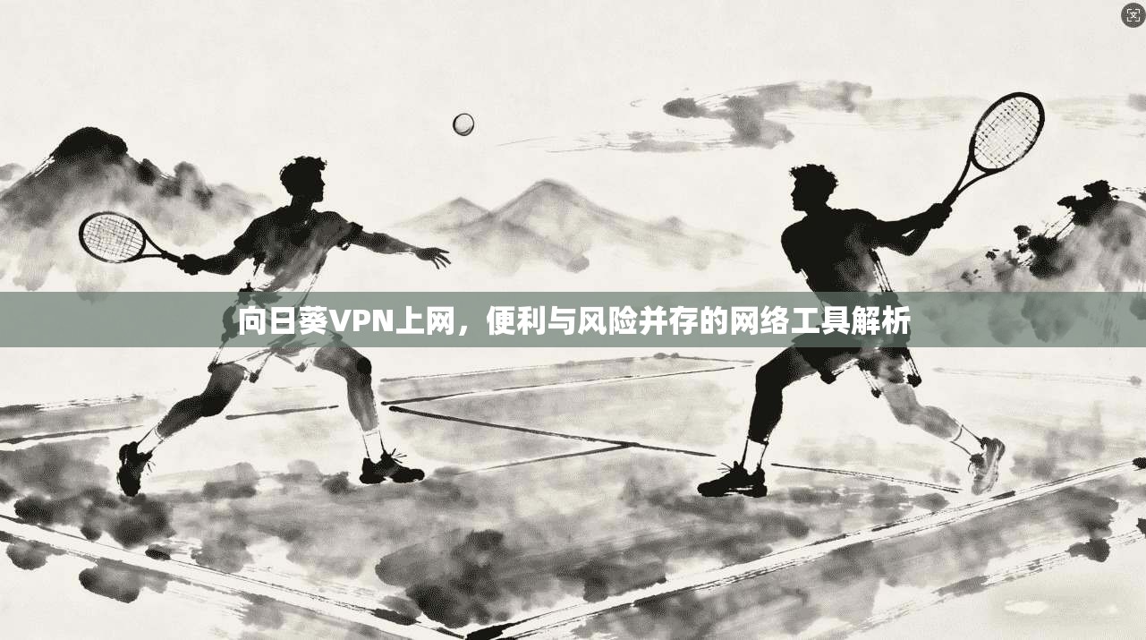 向日葵VPN上网，便利与风险并存的网络工具解析