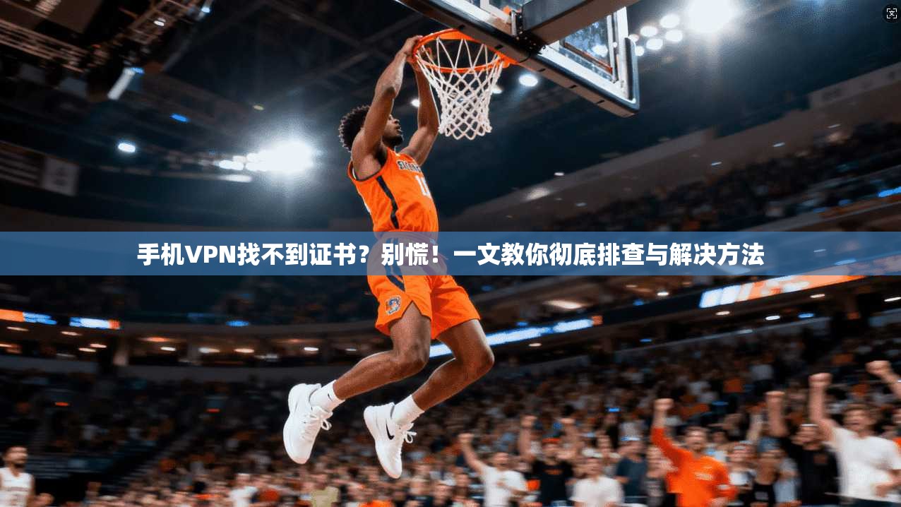 手机VPN找不到证书?别慌!一文教你彻底排查与解决方法