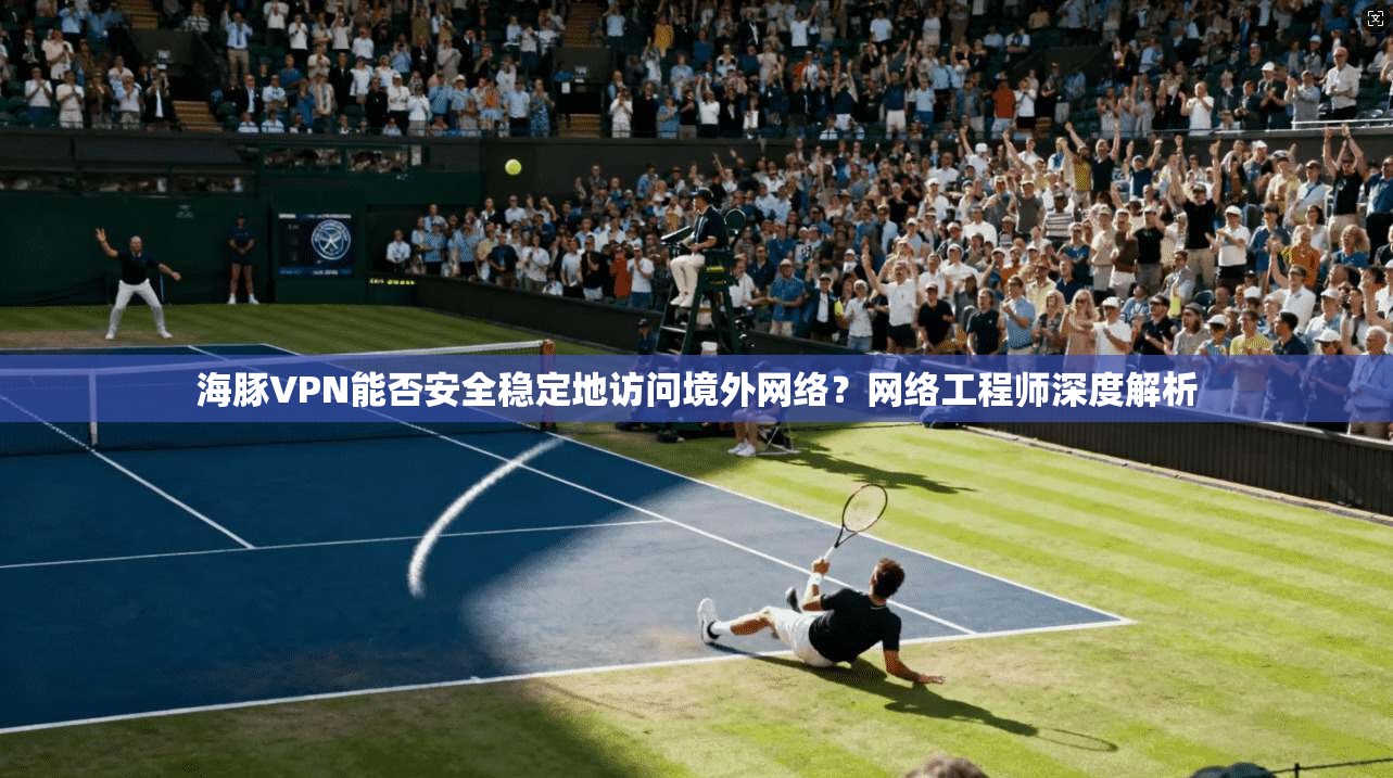 海豚VPN能否安全稳定地访问境外网络？网络工程师深度解析