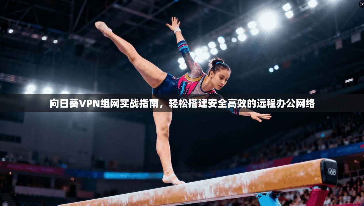 向日葵VPN组网实战指南，轻松搭建安全高效的远程办公网络