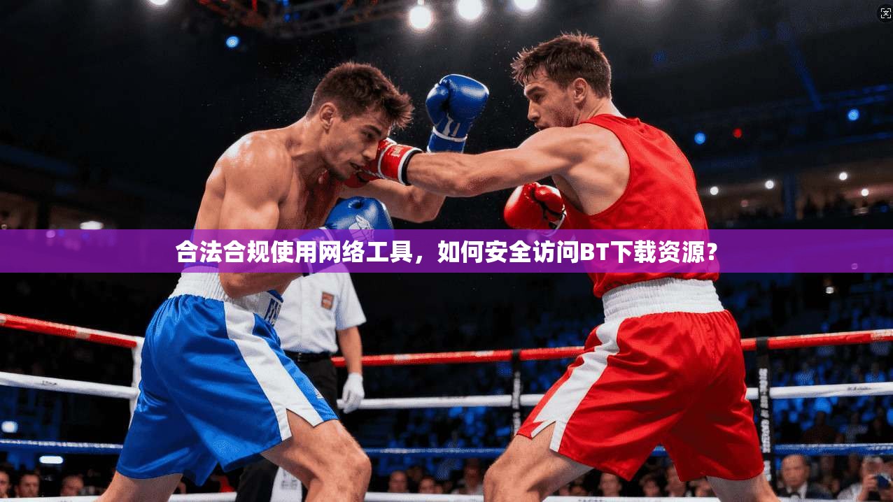 合法合规使用网络工具，如何安全访问BT下载资源？