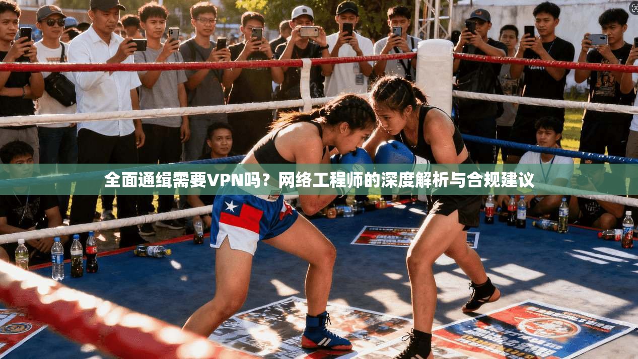 全面通缉需要VPN吗？网络工程师的深度解析与合规建议
