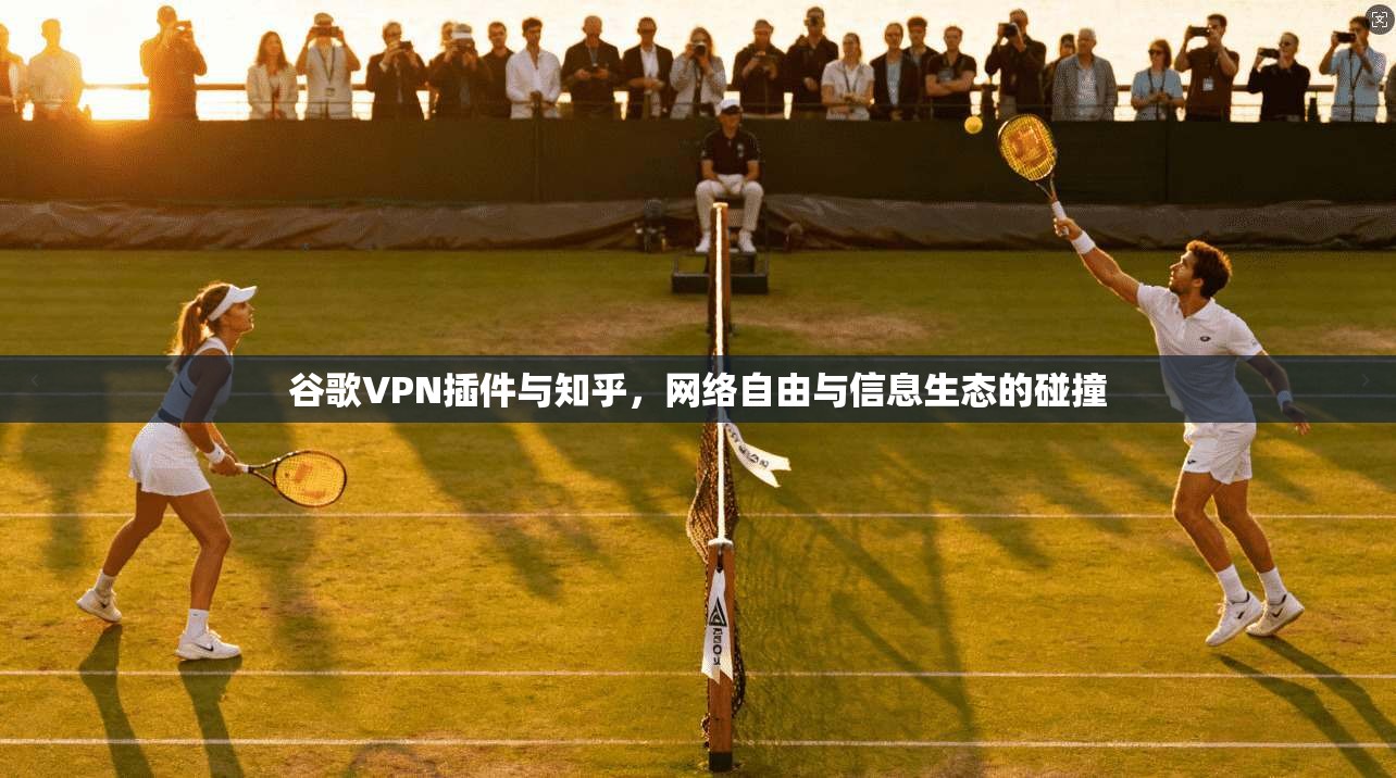 谷歌VPN插件与知乎,网络自由与信息生态的碰撞