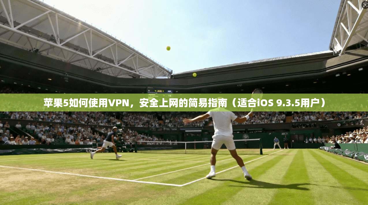 苹果5如何使用VPN，安全上网的简易指南（适合iOS 9.3.5用户）