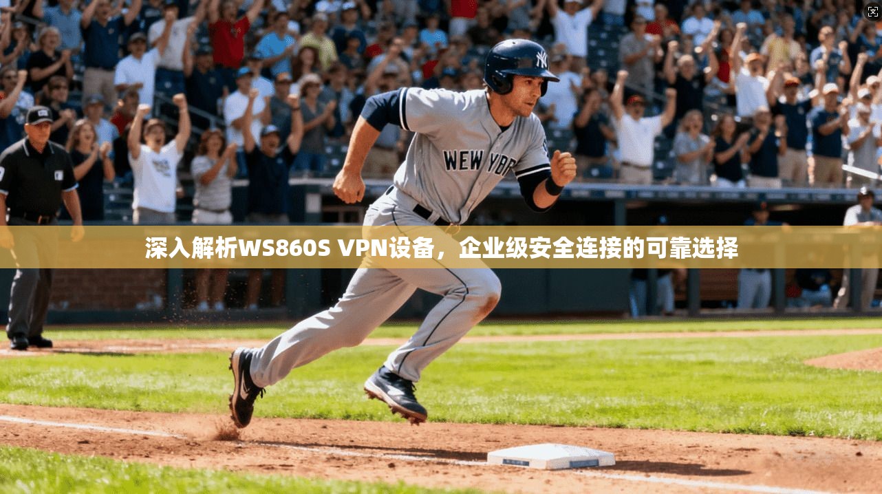 深入解析WS860S VPN设备，企业级安全连接的可靠选择