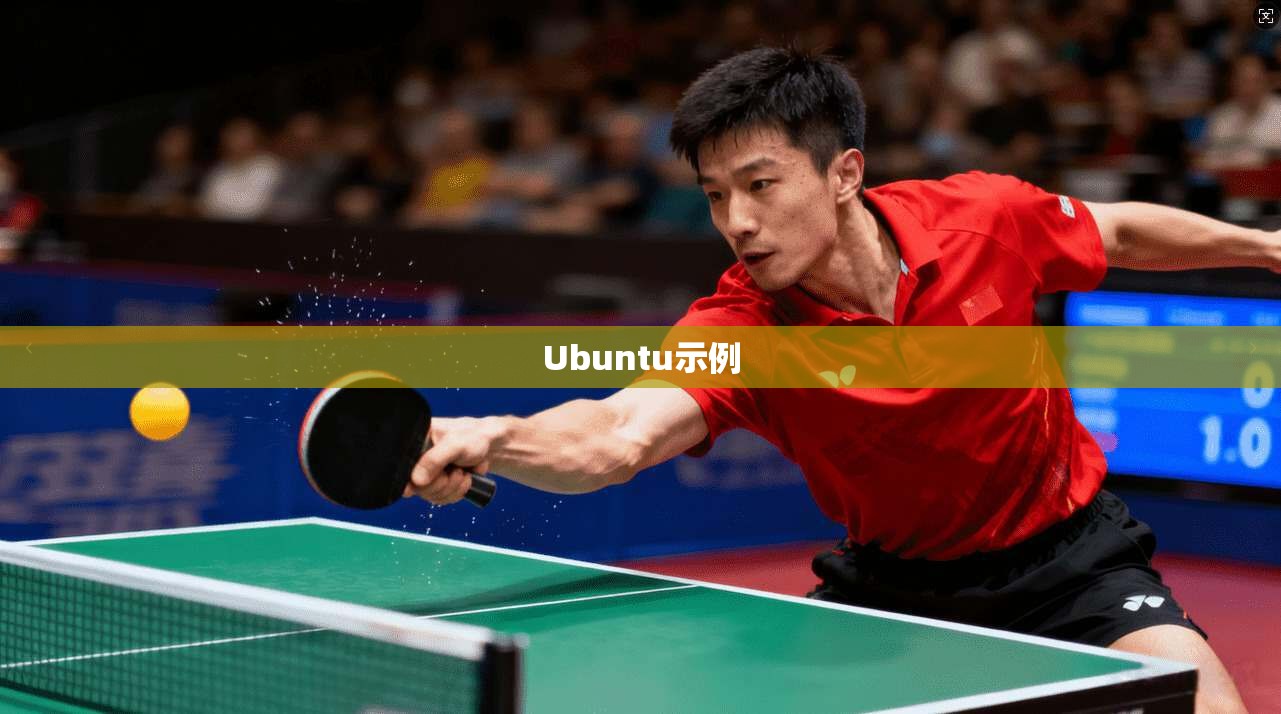 Ubuntu示例