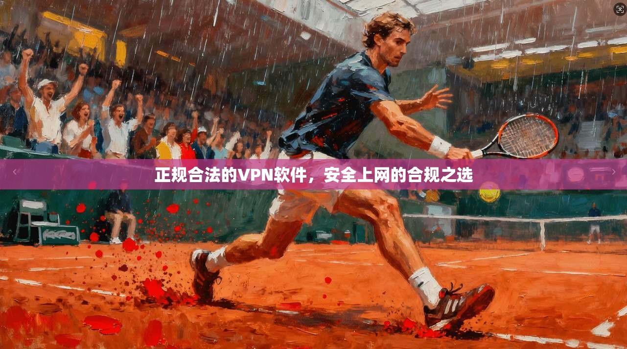 正规合法的VPN软件,安全上网的合规之选