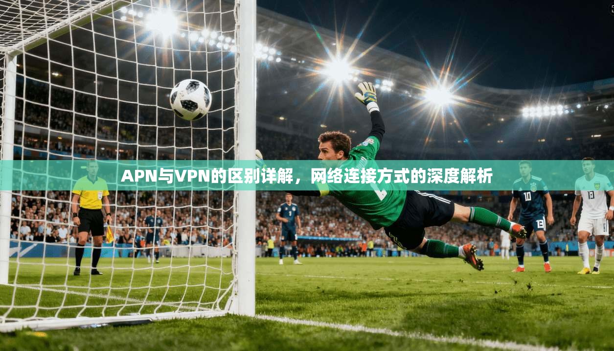 APN与VPN的区别详解，网络连接方式的深度解析