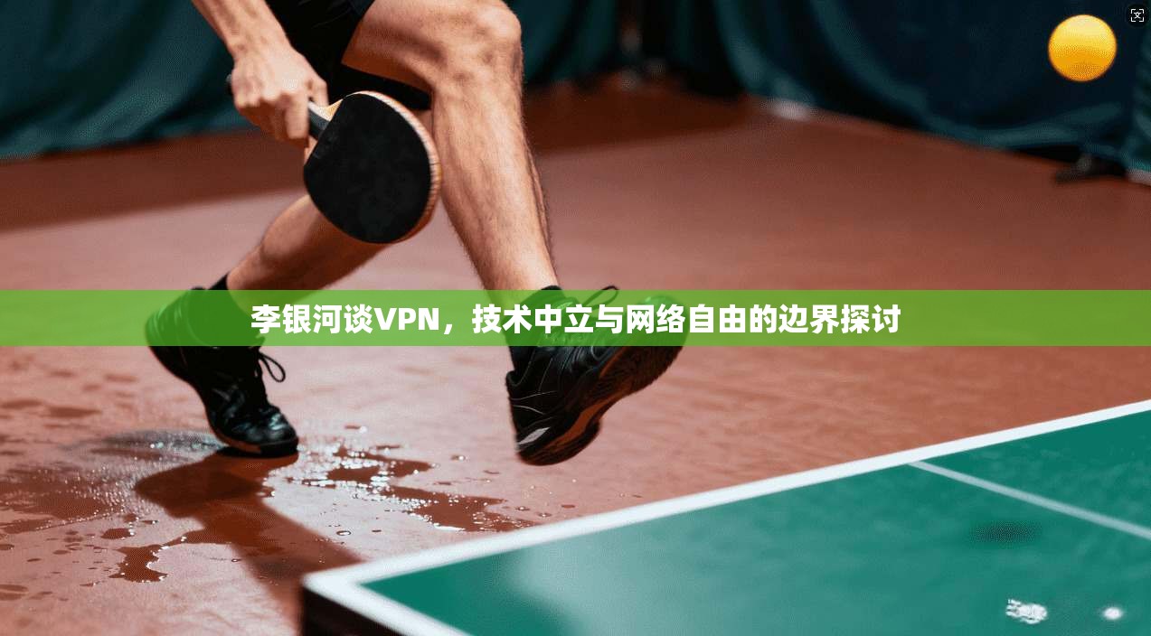 李银河谈VPN,技术中立与网络自由的边界探讨