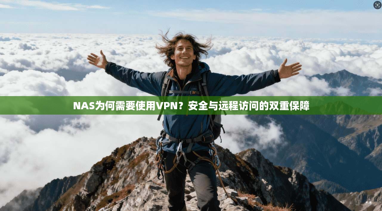 NAS为何需要使用VPN?安全与远程访问的双重保障