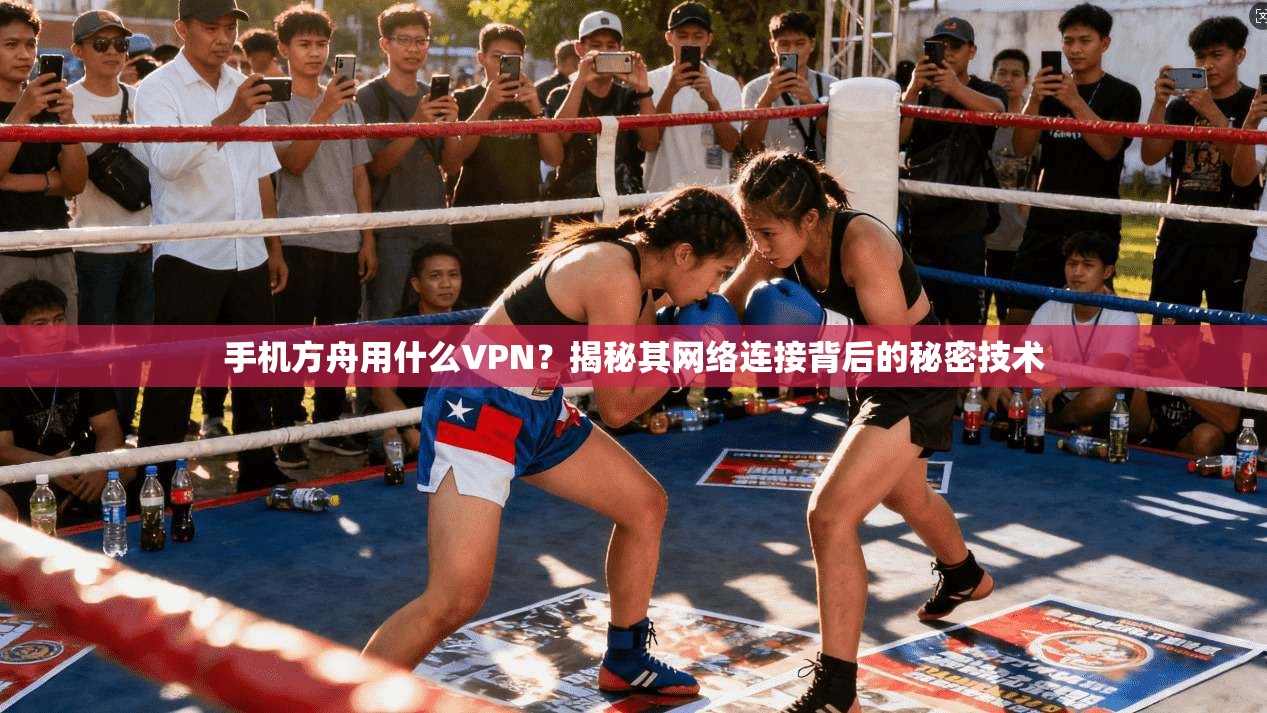 手机方舟用什么VPN？揭秘其网络连接背后的秘密技术