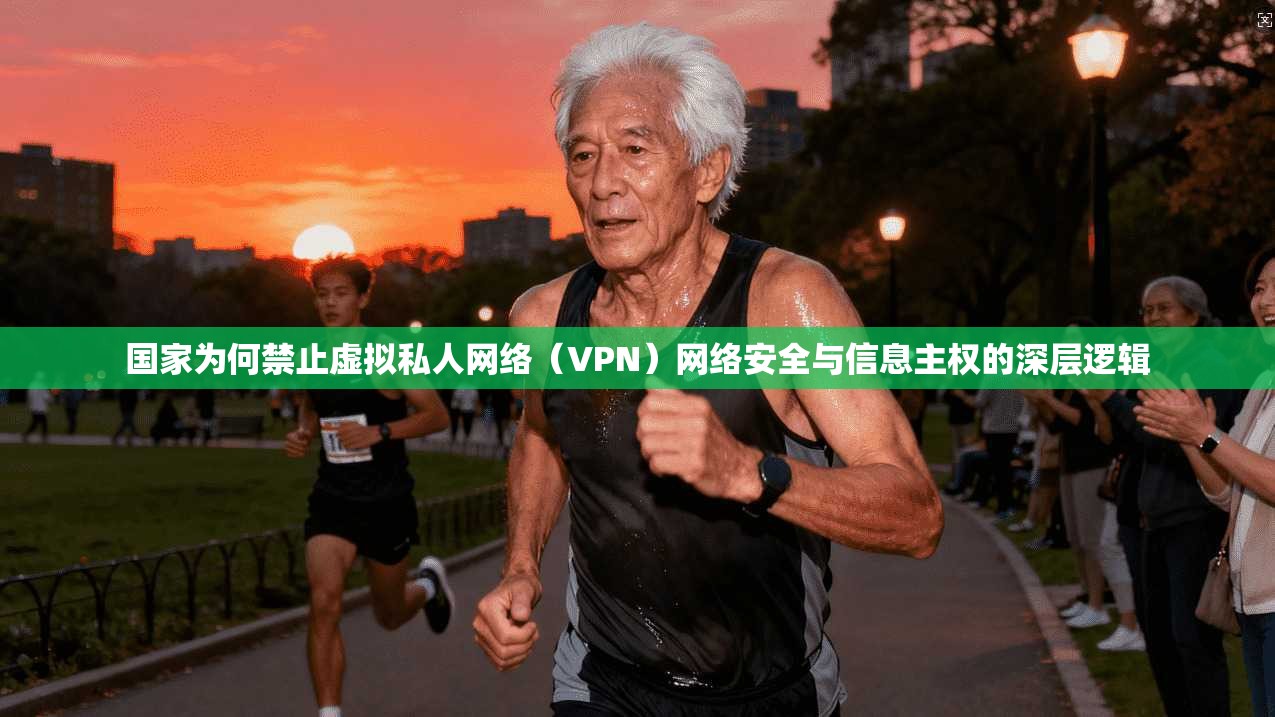 国家为何禁止虚拟私人网络（VPN）网络安全与信息主权的深层逻辑