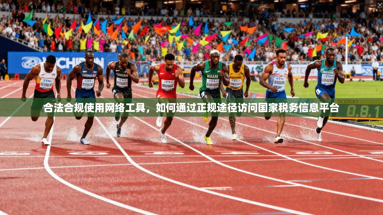 合法合规使用网络工具，如何通过正规途径访问国家税务信息平台