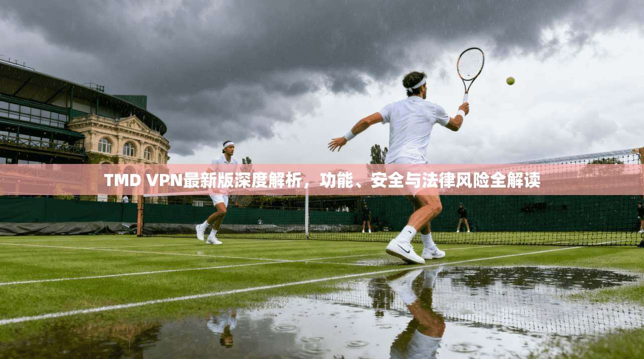 TMD VPN最新版深度解析，功能、安全与法律风险全解读