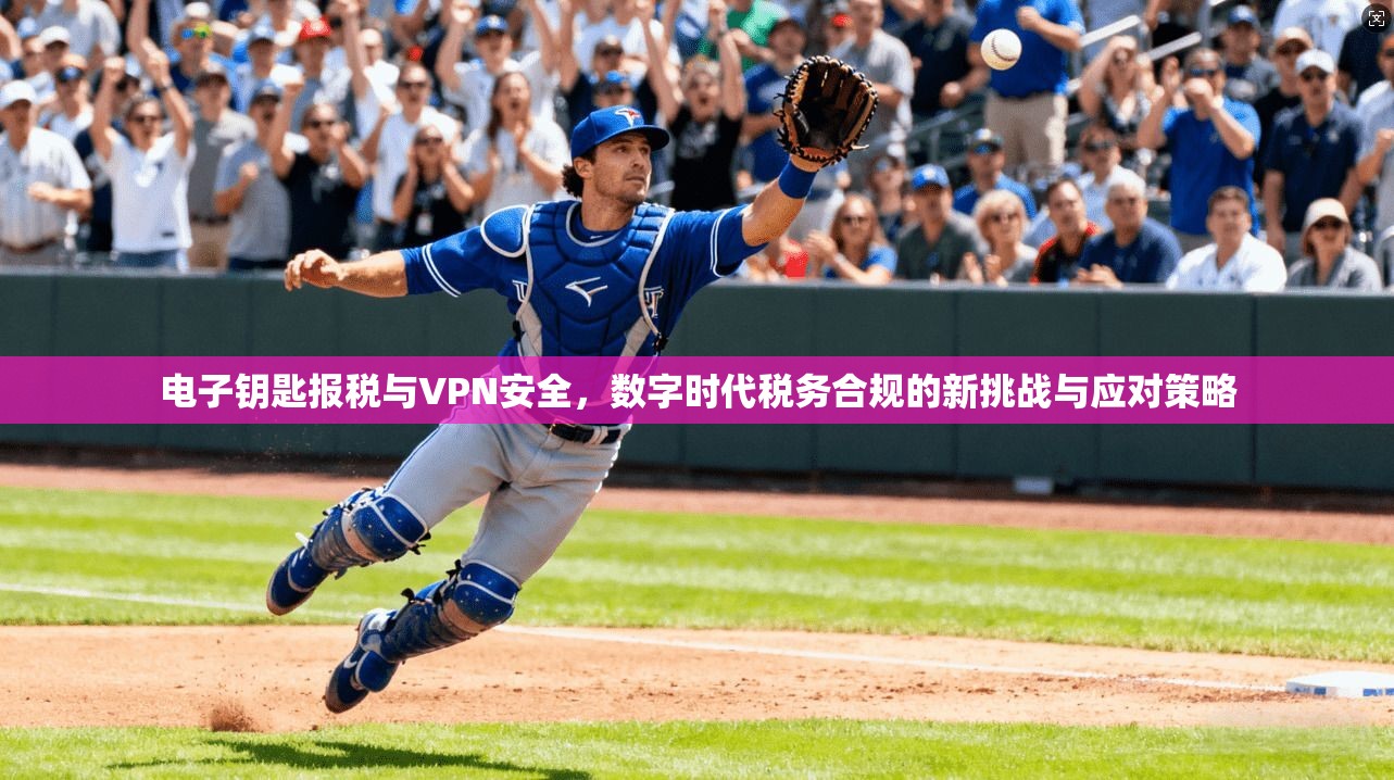电子钥匙报税与VPN安全，数字时代税务合规的新挑战与应对策略