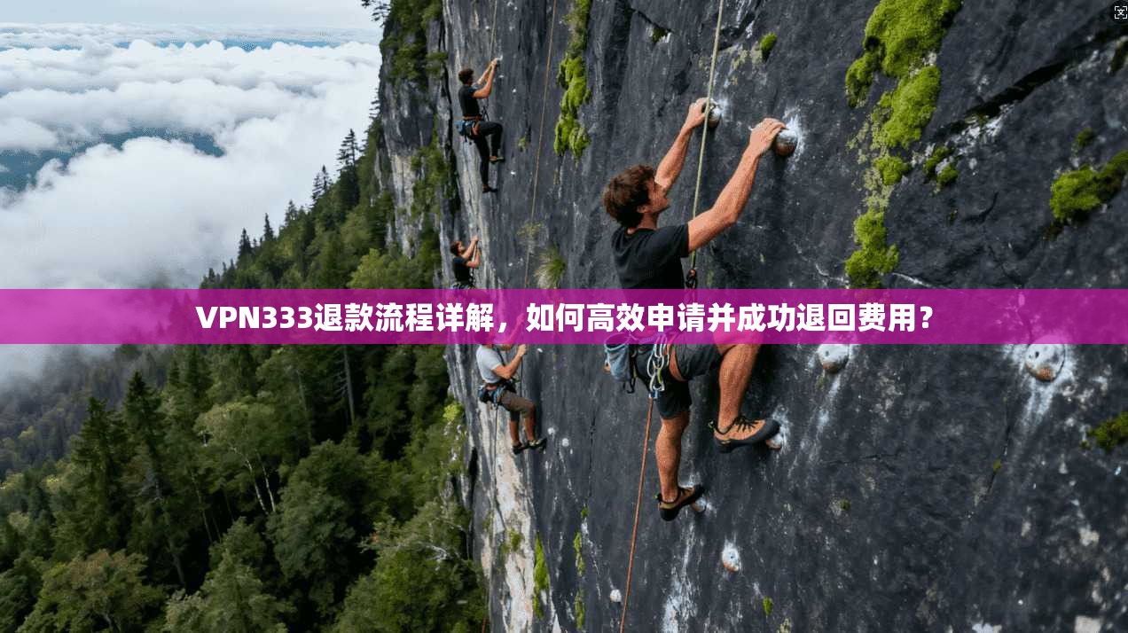 VPN333退款流程详解，如何高效申请并成功退回费用？