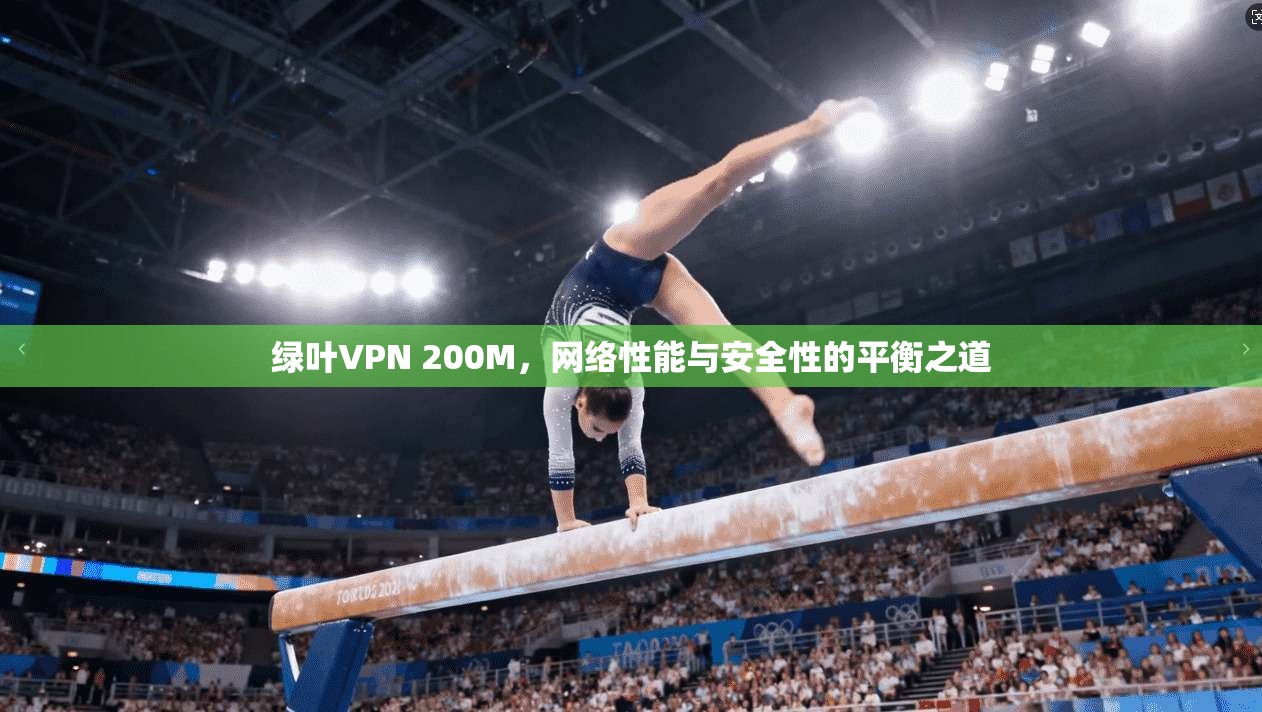 绿叶VPN 200M,网络性能与安全性的平衡之道