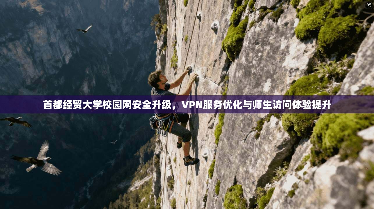 首都经贸大学校园网安全升级,VPN服务优化与师生访问体验提升