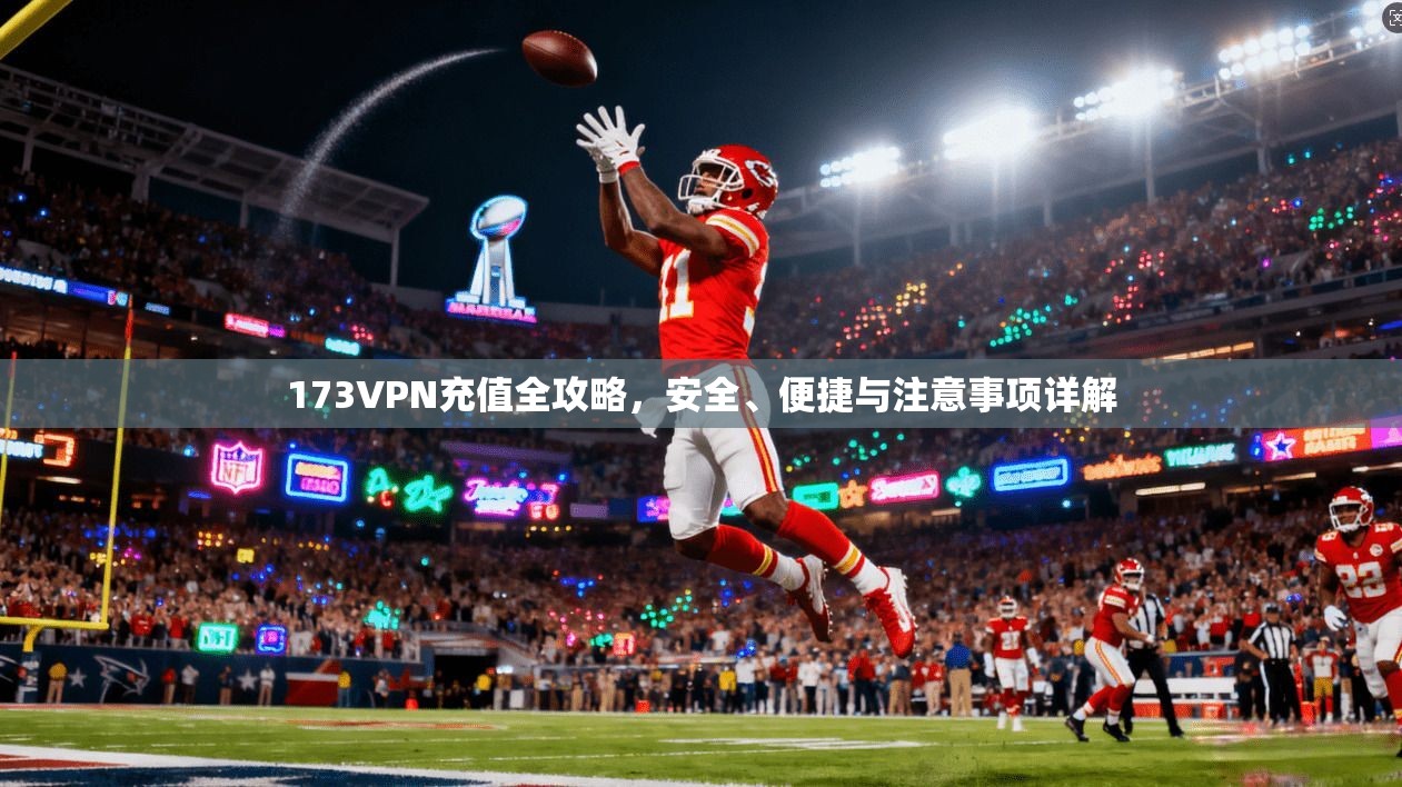 173VPN充值全攻略，安全、便捷与注意事项详解
