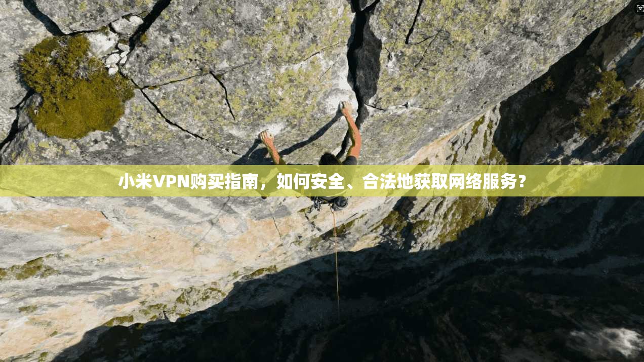 小米VPN购买指南，如何安全、合法地获取网络服务？