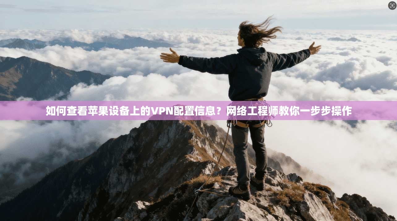 如何查看苹果设备上的VPN配置信息？网络工程师教你一步步操作