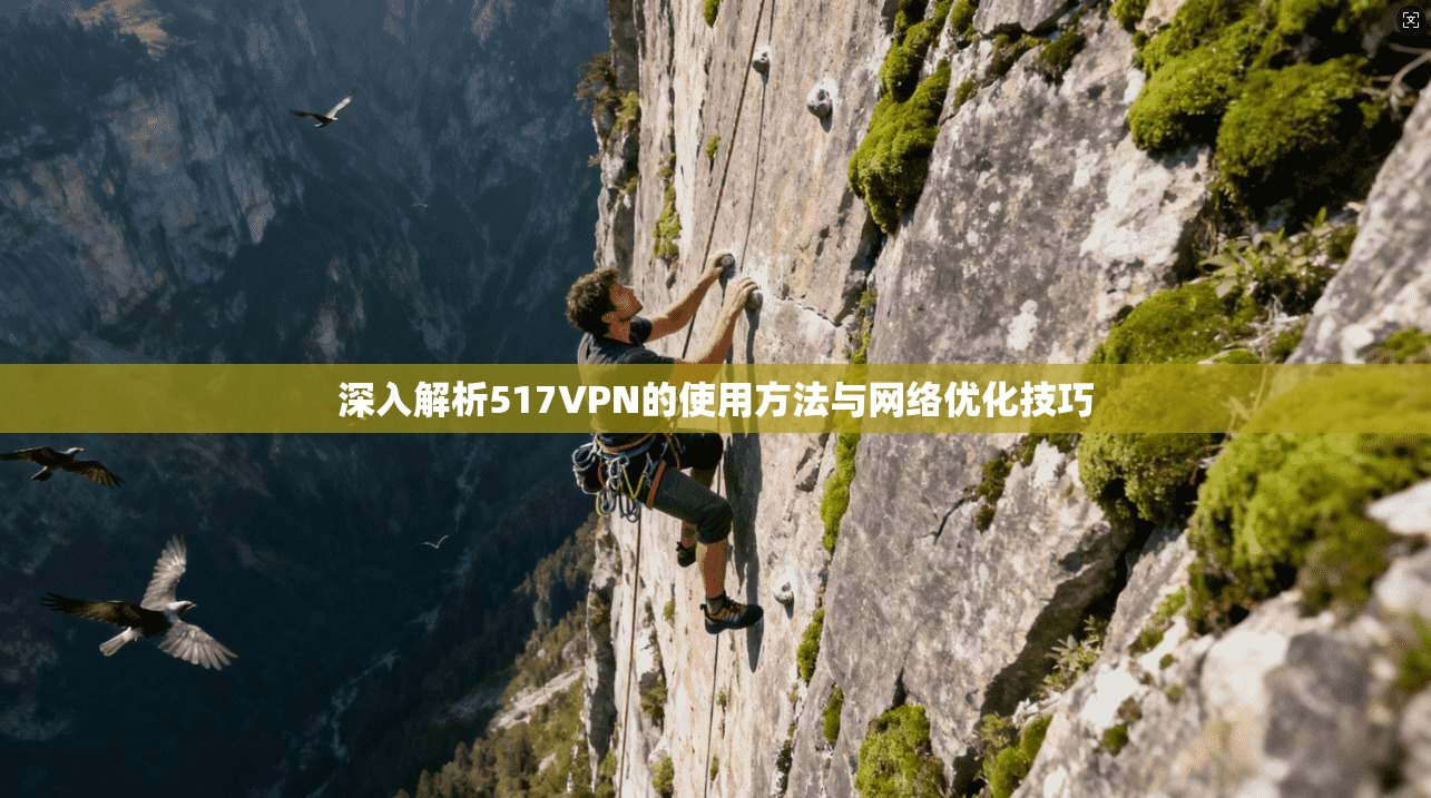 深入解析517VPN的使用方法与网络优化技巧