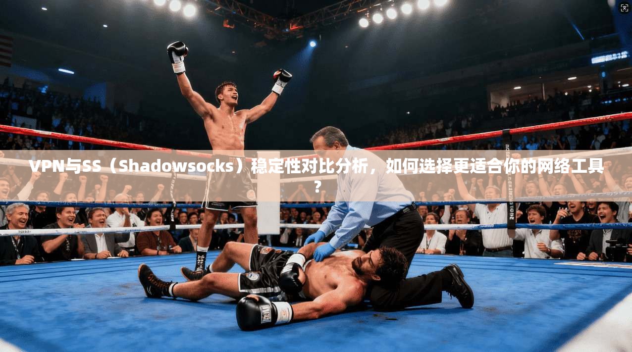 VPN与SS(Shadowsocks)稳定性对比分析,如何选择更适合你的网络工具?