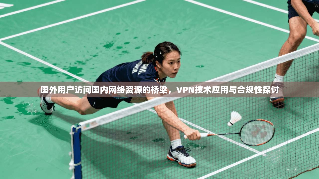 国外用户访问国内网络资源的桥梁,VPN技术应用与合规性探讨