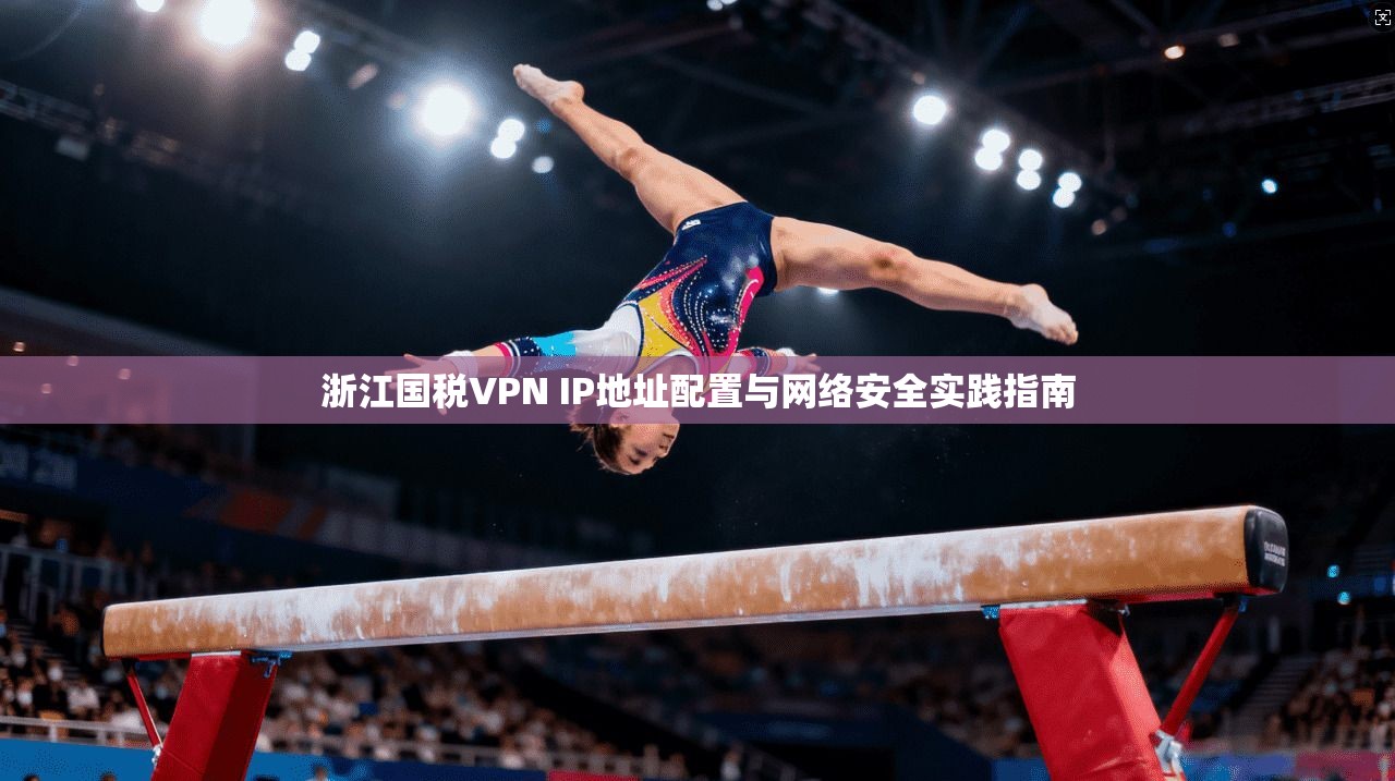浙江国税VPN IP地址配置与网络安全实践指南