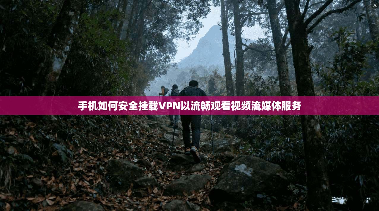 手机如何安全挂载VPN以流畅观看视频流媒体服务